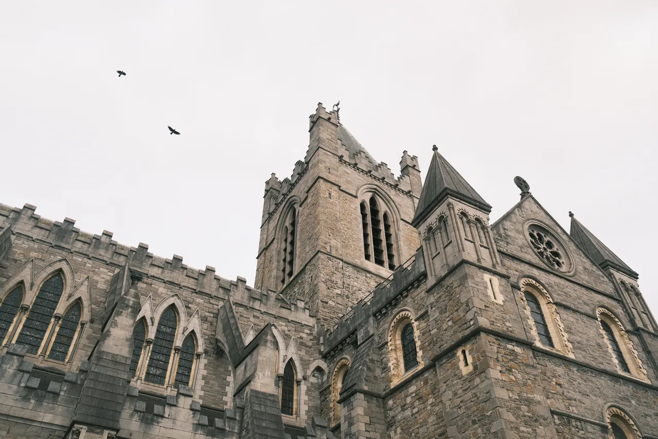 A stone cathedral viewed from below with two birds overhead.
