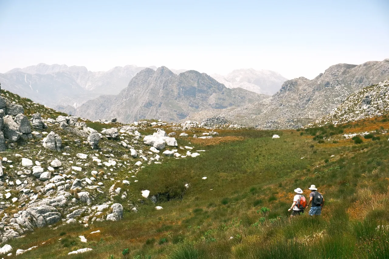 Jonkershoek, Stellenbosch, 2025