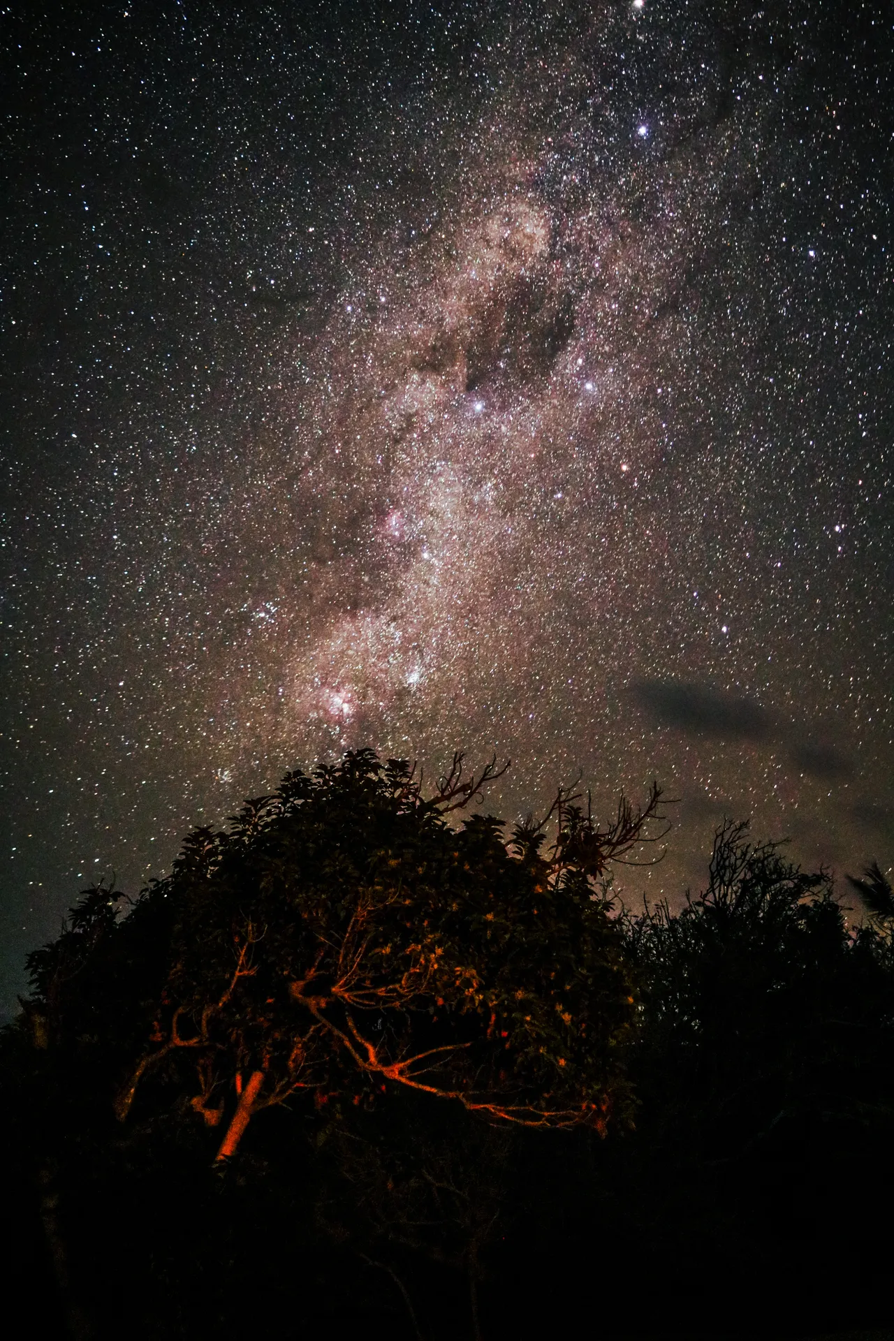 Lwandile, Transkei, 2020