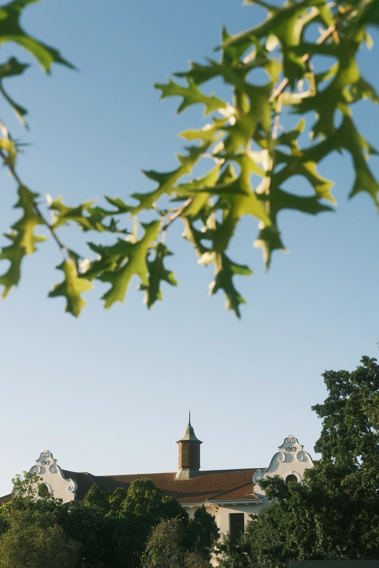 Rooiplein, Stellenbosch, 2024