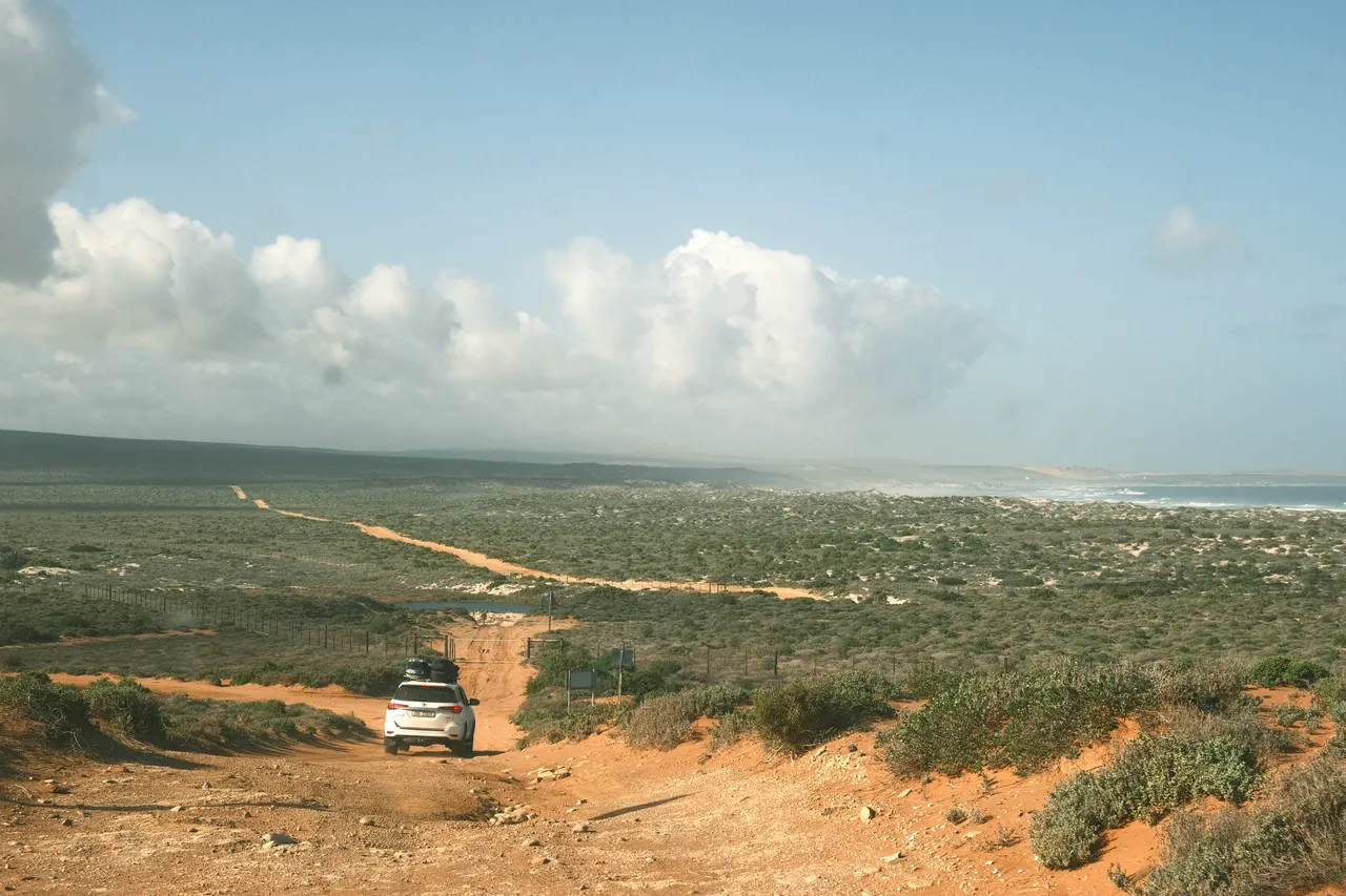 Weskus, Northern Cape, 2024